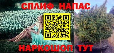 МДПВ Кулебаки