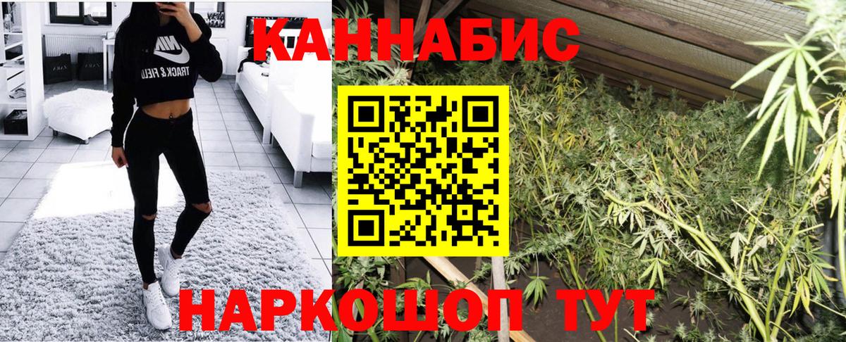 Бошки Шишки White Widow  Конопля SATIVA & INDICA  Зима  Вход с VPN  Бошки марихуана THC 21% 